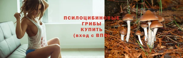 ALPHA PVP Арсеньев