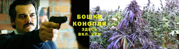 скорость Аркадак