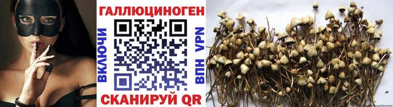 Галлюциногенные грибы Magic Shrooms  Куса 