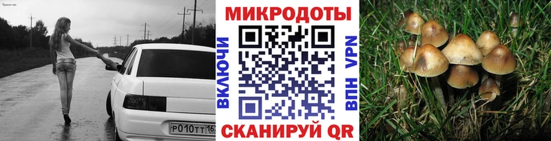 Псилоцибиновые грибы мухоморы Куса